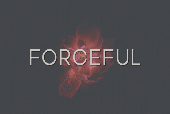 Forceful: Elevate Handmade Products with This Sans Serif Font