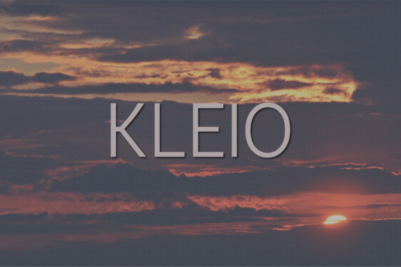 Kleio Sans Serif Font: A Refined Choice for Web Designers